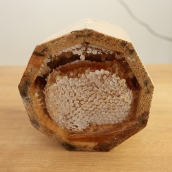 Tünel karakovan petek bal(2,800KG- 3,200KG)