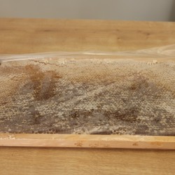 Petek çiçek balı (2300KG) Petek çiçek balı (2300KG)