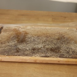 Petek çiçek balı (2300KG)